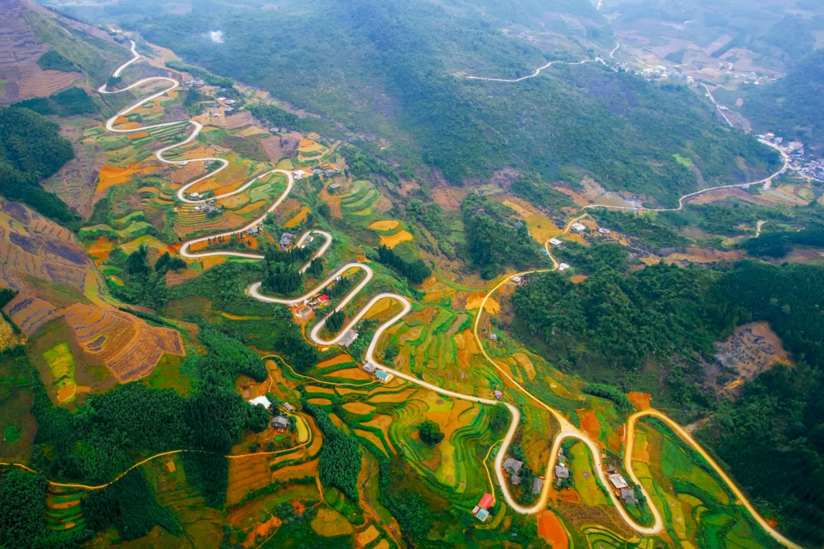 Terraced rice fields glowing in golden hues along Na Tenh Pass during harvest season